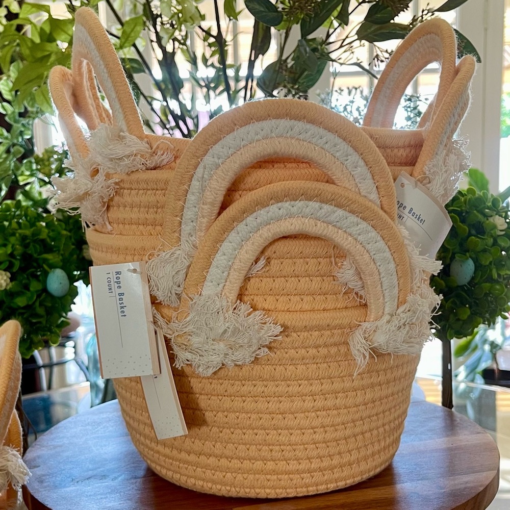 HP NEW Set of 2- Target Rainbow Rope Baskets - Picture 13 of 14